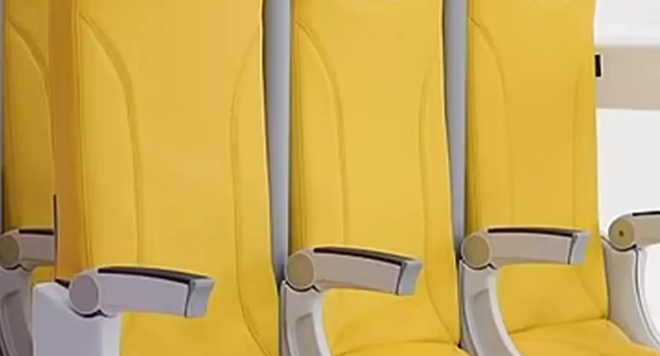 Low-Cost Airlines to Introduce Standing-Only Seats by 2026: A Game-Changer for Budget Travel?