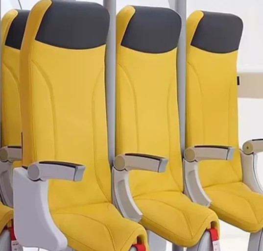 Low-Cost Airlines to Introduce Standing-Only Seats by 2026: A Game-Changer for Budget Travel?