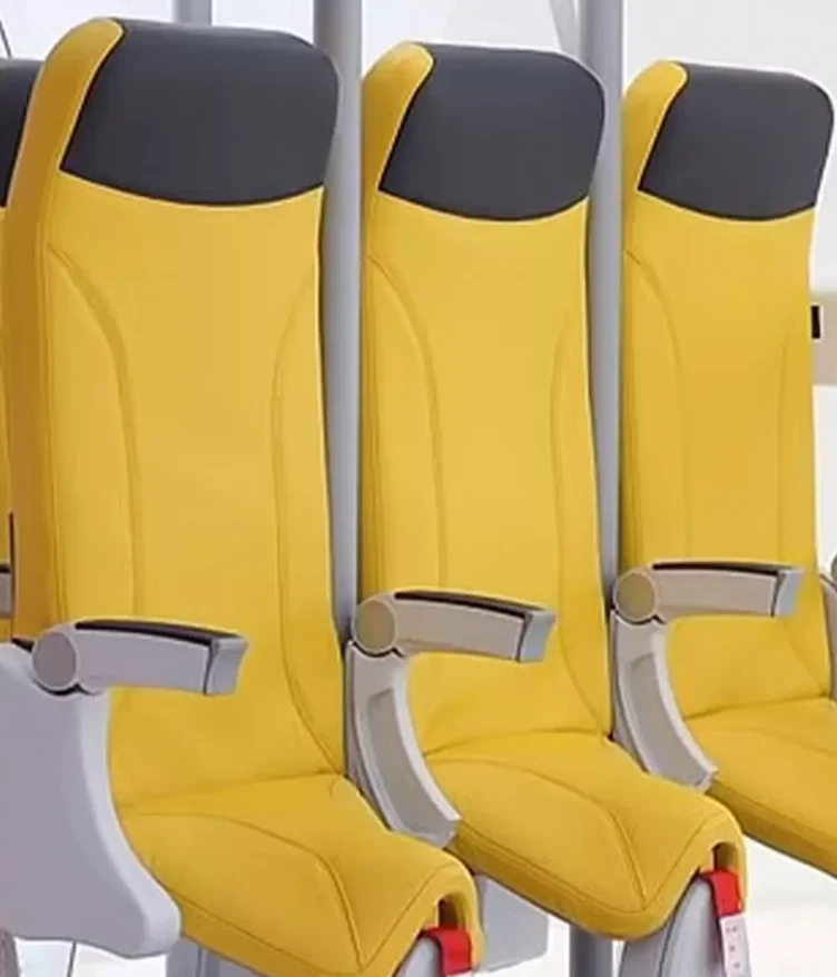 Low-Cost Airlines to Introduce Standing-Only Seats by 2026: A Game-Changer for Budget Travel?