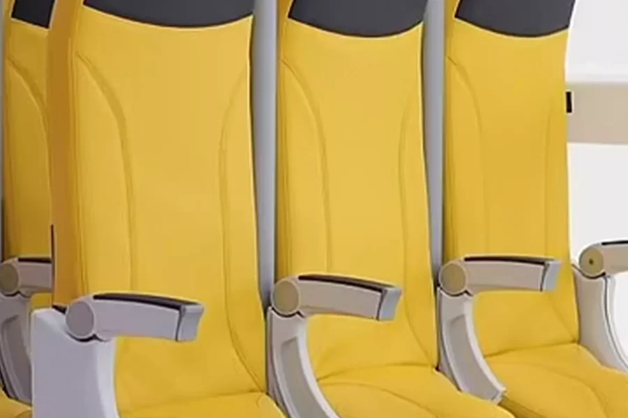 Low-Cost Airlines to Introduce Standing-Only Seats by 2026: A Game-Changer for Budget Travel?