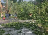 Devastating Tornado-Warned Storm Leaves St. Louis Metro Reeling: At Least 4 Killed, Extensive Damage Reported